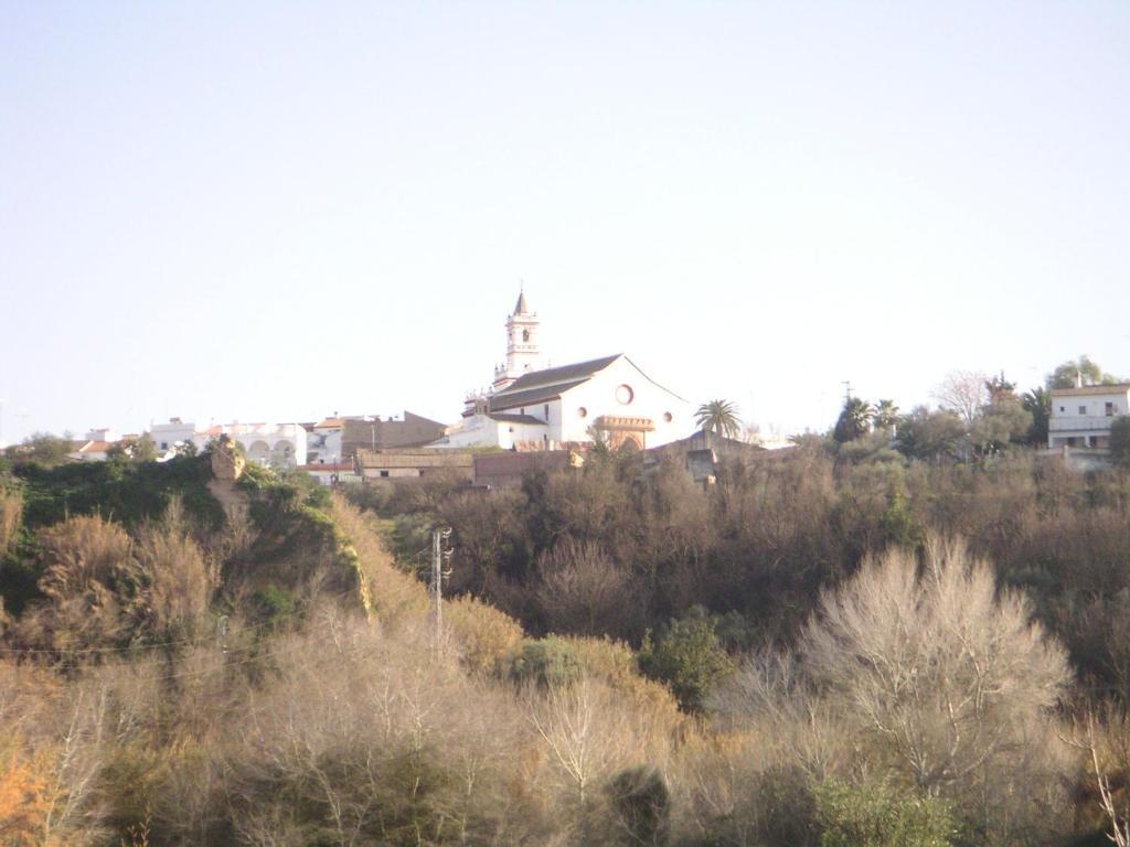 Camping Dehesa Nueva Hotel Aznalcázar Esterno foto