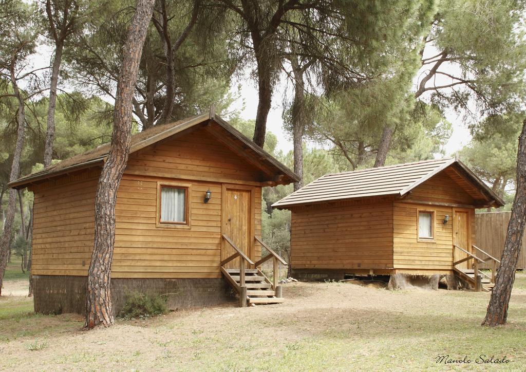 Camping Dehesa Nueva Hotel Aznalcázar Esterno foto