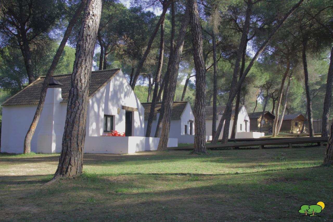 Camping Dehesa Nueva Hotel Aznalcázar Esterno foto